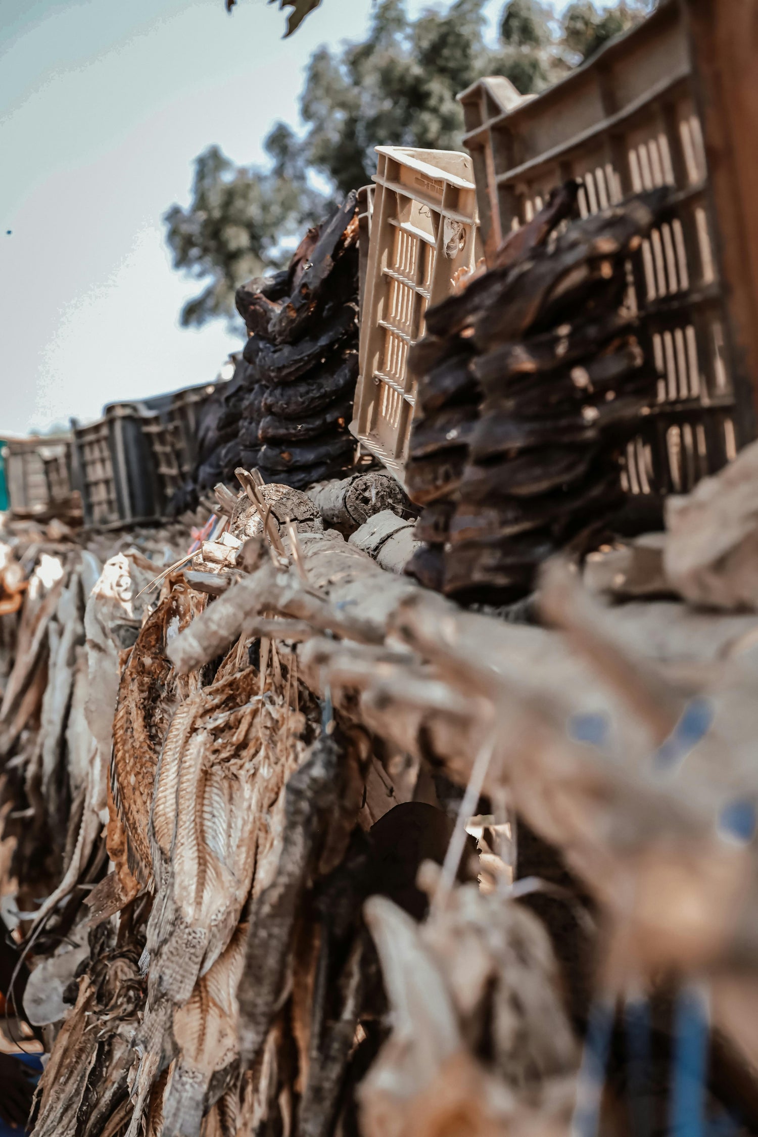 Authentic dried and smoked proteins, showcasing rich textures and traditional preparation for robust flavor.