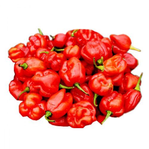 Fresh Scotch Bonnet Chillies 150g – Bold Heat, Authentic Flavor